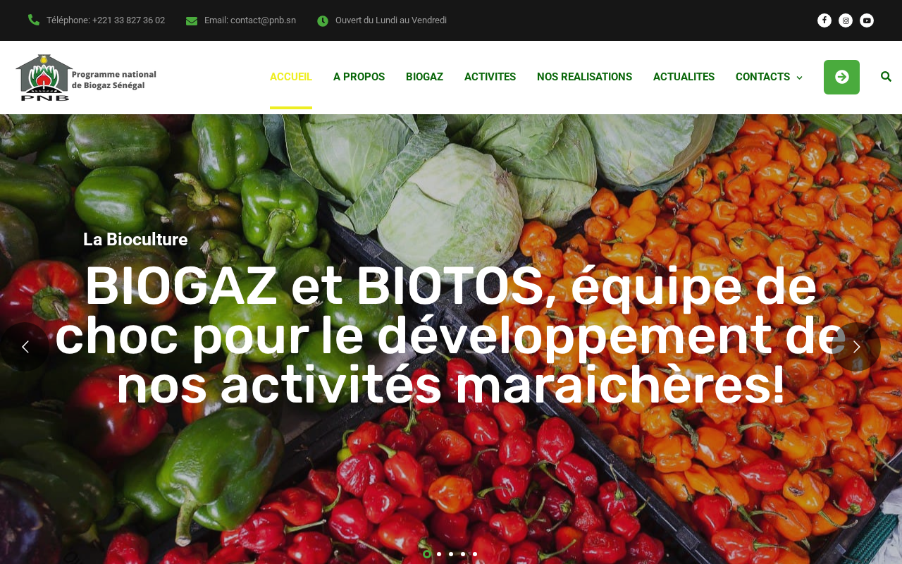 Capture du site pnb.sn — Programme National de Biogaz du Sénégal